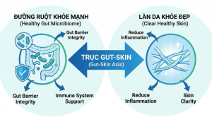 Mối liên hệ mật thiết giữa hệ vi sinh đường ruột và sức khỏe làn da (Gut-Skin Axis)